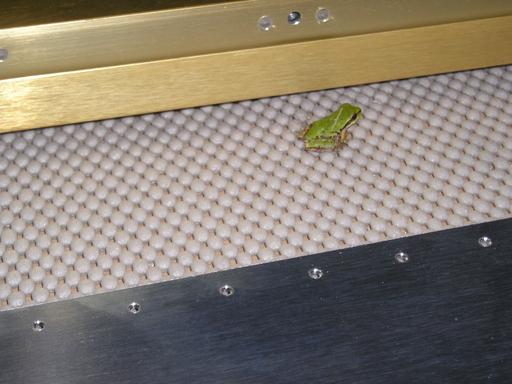 A visitor to the shop