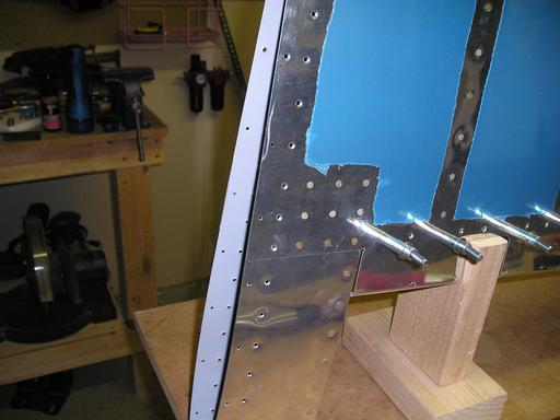 Skin rivets